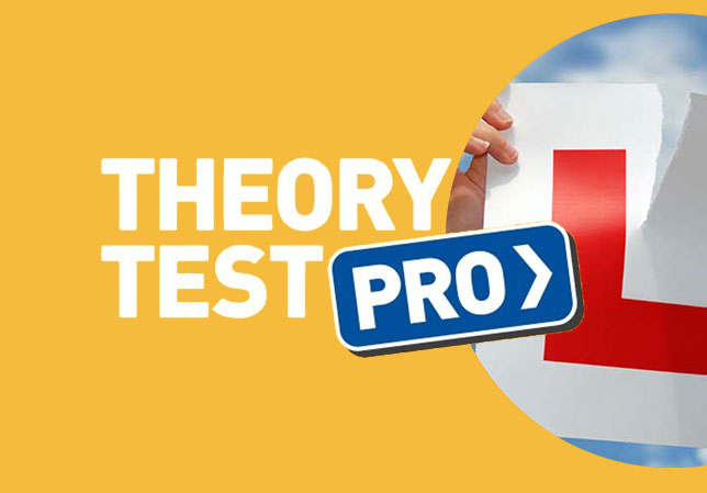 Theory Test Pro